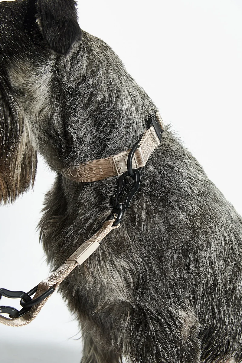 Modena Hundehalsband Greige