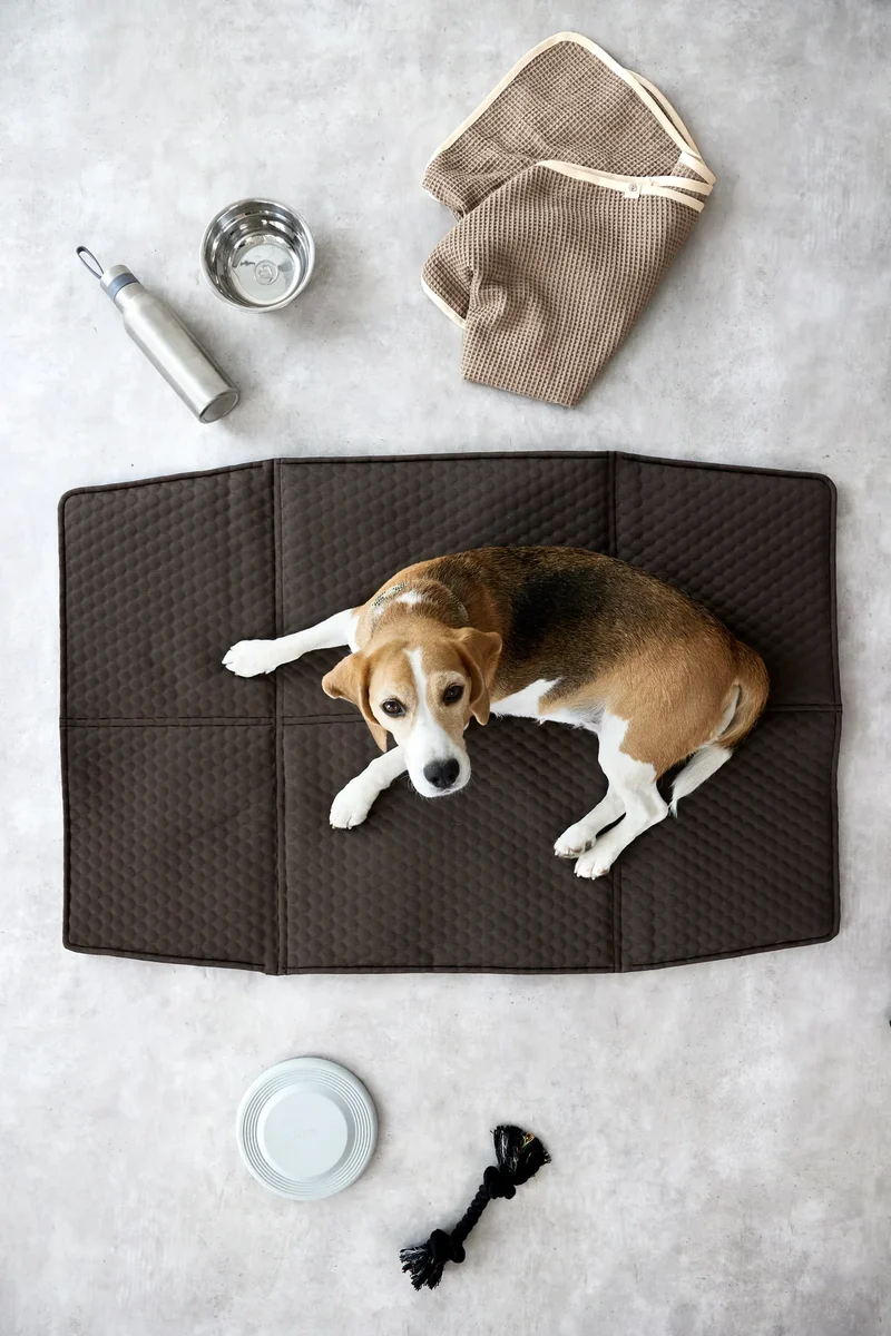 Hundemattentasche Nobo Anthrazit