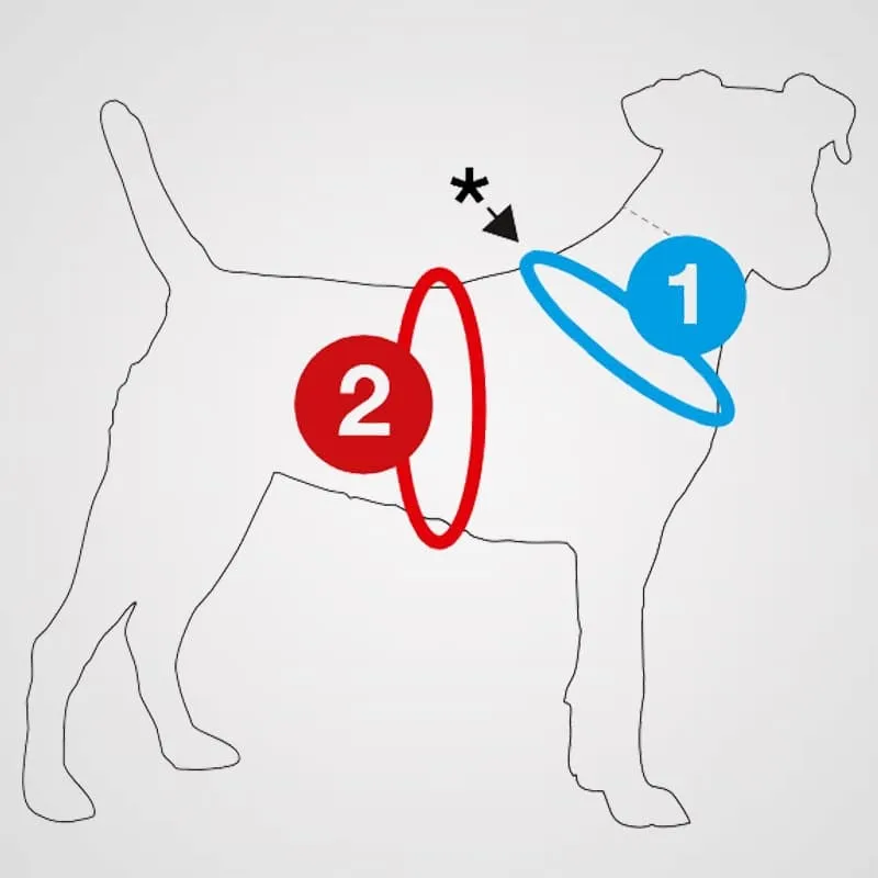 CURLI - Belka Harness | Hundegeschirr - Brustgeschirr