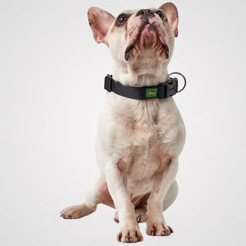 HUNTER - Vario Plus | Hundehalsband