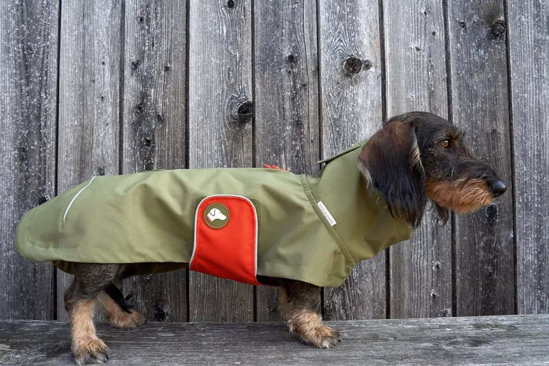 Vêtement Teckel Sangle Imperméable Citrouille