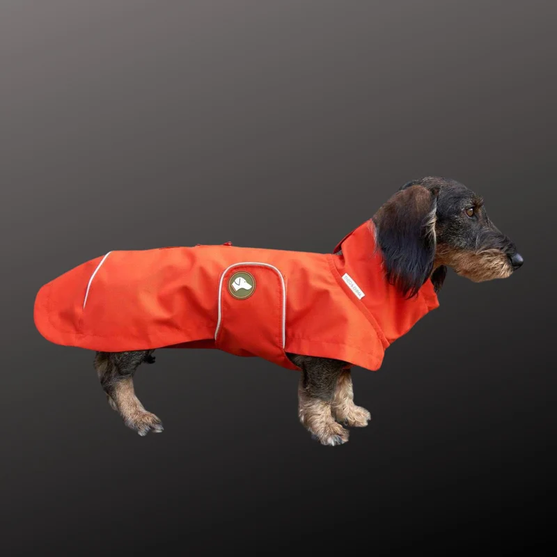 Vêtement Teckel Imperméable Cooper Citrouille