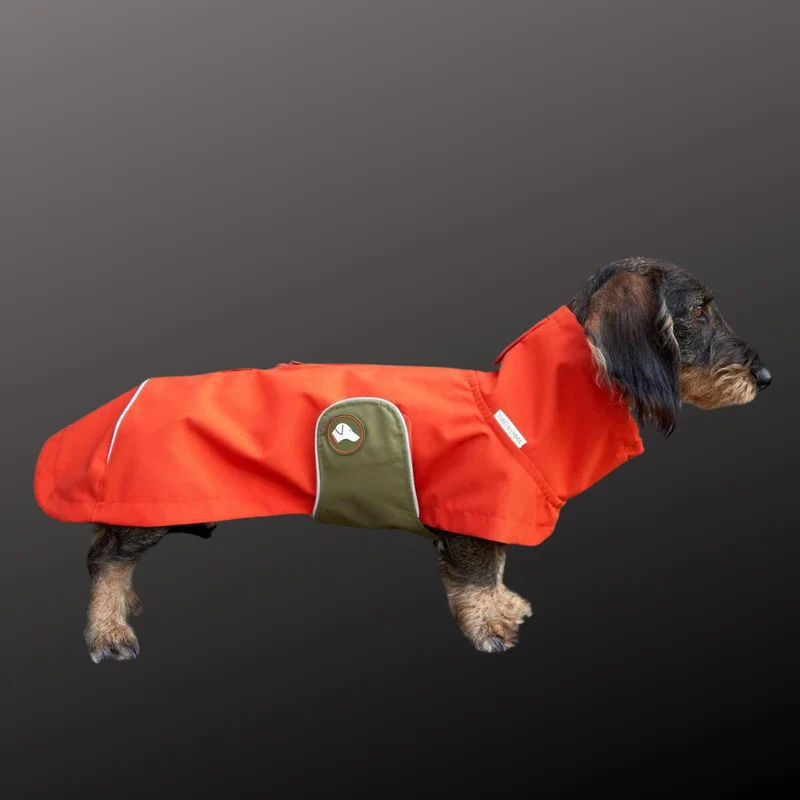 Vêtement Teckel Imperméable Cooper Citrouille