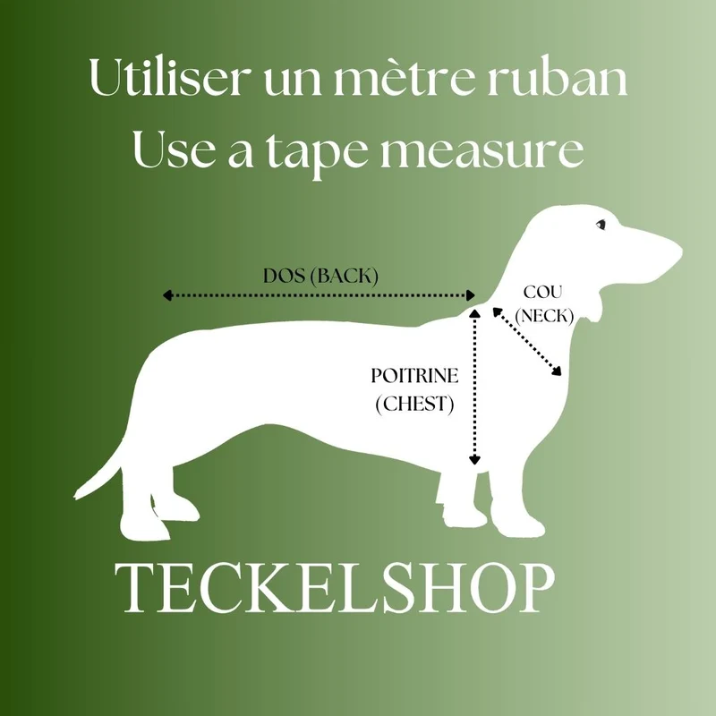 Sellerie Teckel Harnais Daisy