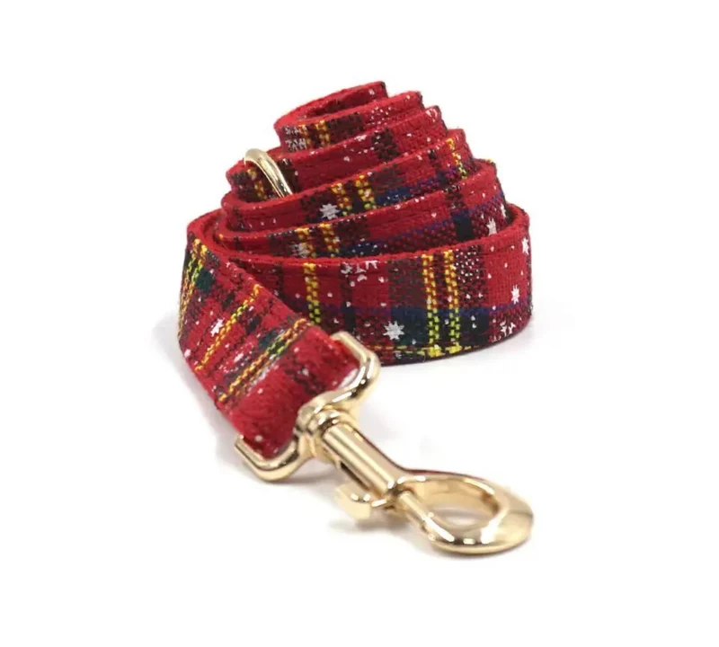 Personalised Dog Collar and Leash - Christmas set