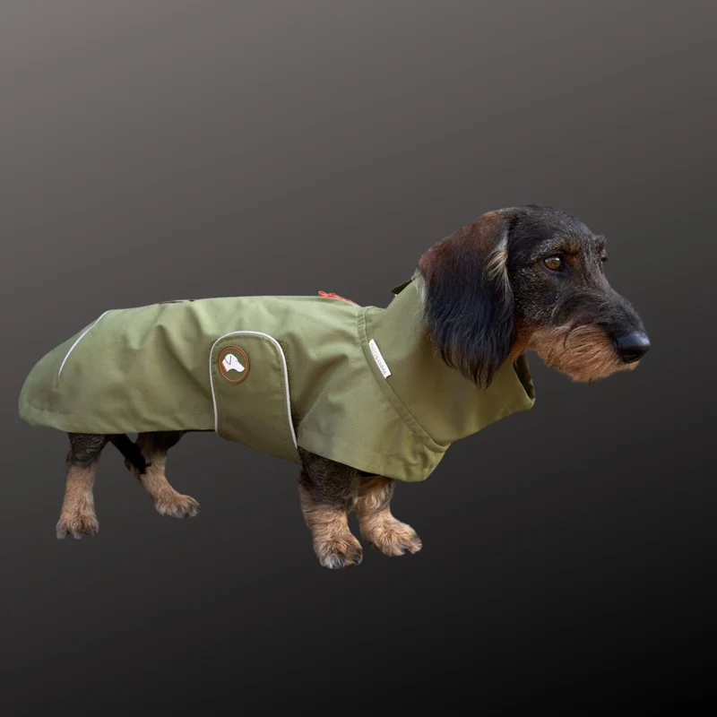 Vêtement Teckel Imperméable Cooper Vert