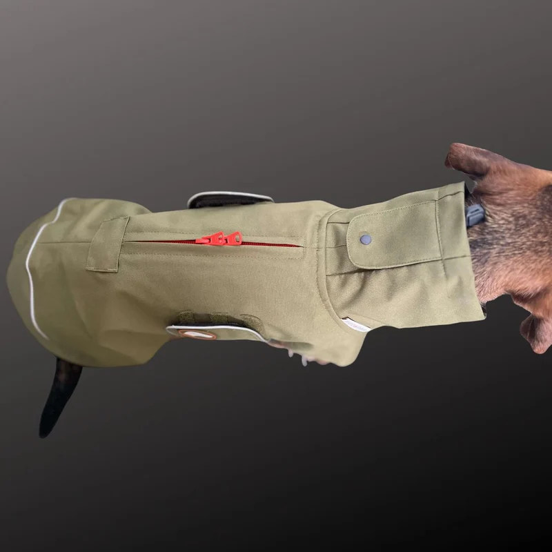 Vêtement Teckel Imperméable Cooper Vert