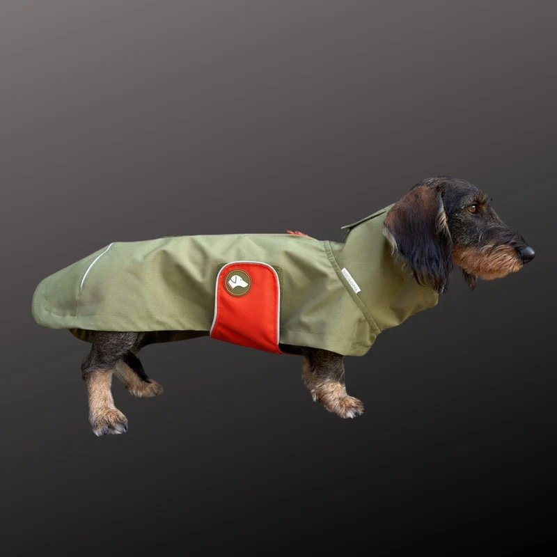 Vêtement Teckel Imperméable Cooper Vert