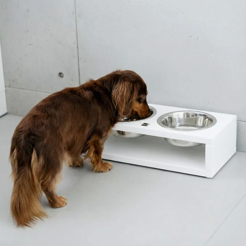 Vaissellerie Teckel Grande Gamelle Double (jasmin)