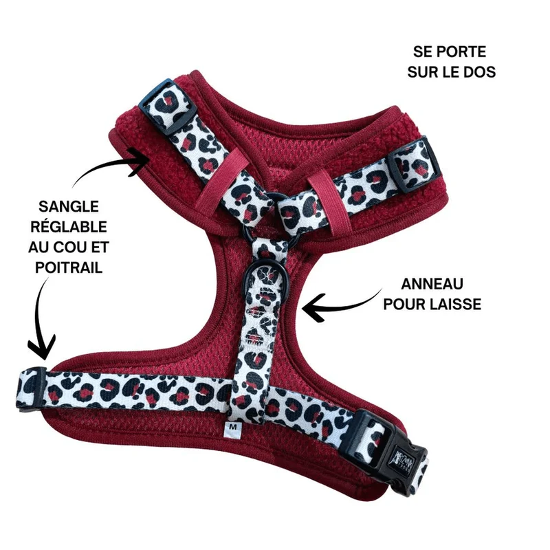 Sellerie Teckel Harnais Teddy Bordeaux