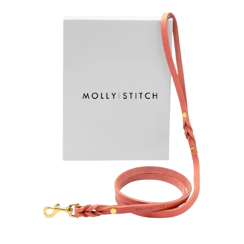 Sellerie Teckel Harnais en Y Cuir Butter Rose