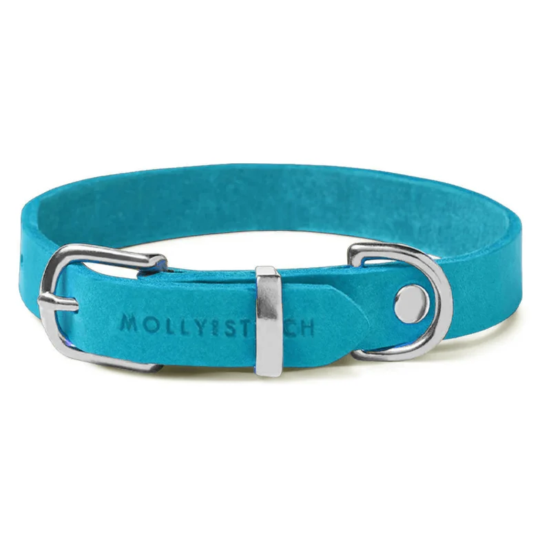 Sellerie Teckel Collier Cuir Butter Fiji Bleu