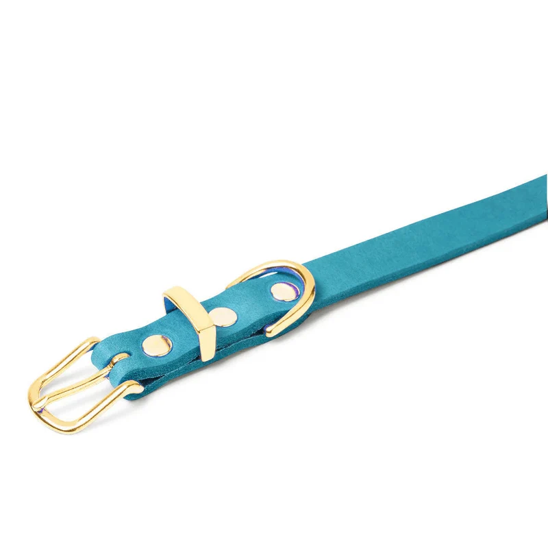 Sellerie Teckel Collier Cuir Butter Fiji Bleu