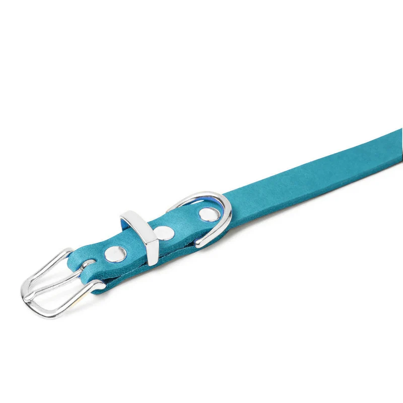 Sellerie Teckel Collier Cuir Butter Fiji Bleu