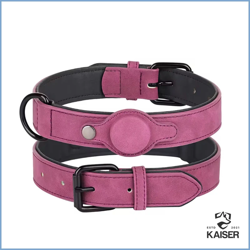 GPS Hundehalsband