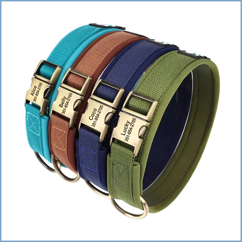 Nylon Hundehalsband mit Namen gepolstert