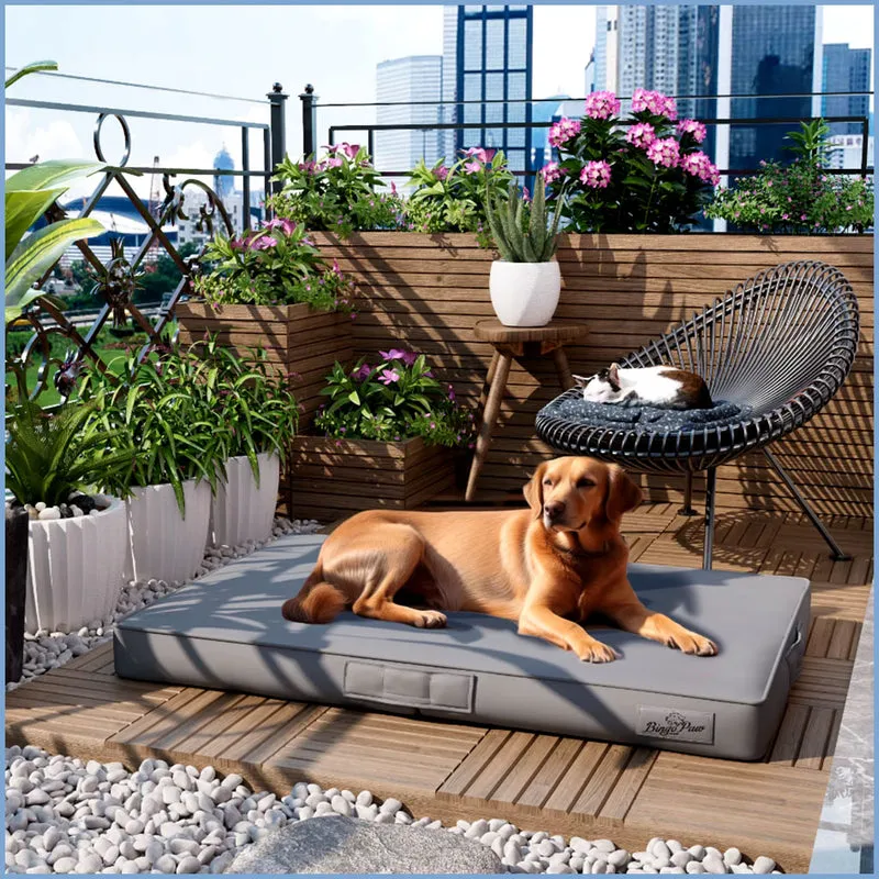 Hundebett Leder XXL