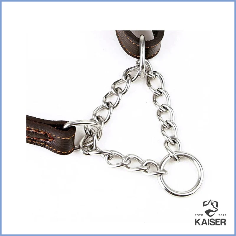 Hundehalsband Leder mit Zugstopp Kette