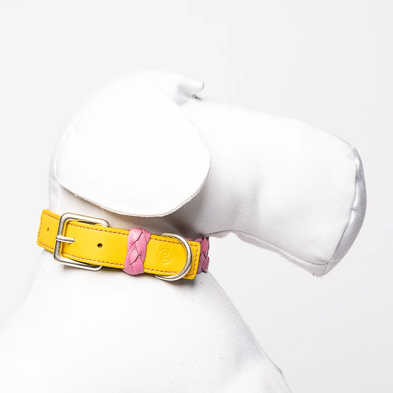 Sellerie Teckel Collier Cuir Tressé (rose&jaune)