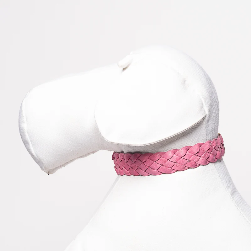 Sellerie Teckel Collier Cuir Tressé (rose&jaune)