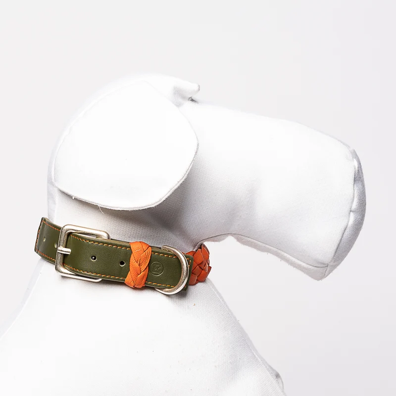 Sellerie Teckel Collier Cuir Tressé (orange&vert)