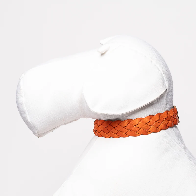 Sellerie Teckel Collier Cuir Tressé (orange&vert)