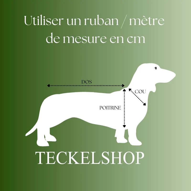 Vêtement Teckel Leaf Manteau Marron (sur mesure)