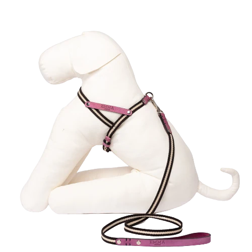 Sellerie Teckel Harnais Tissu & Nubuck (fuschia)