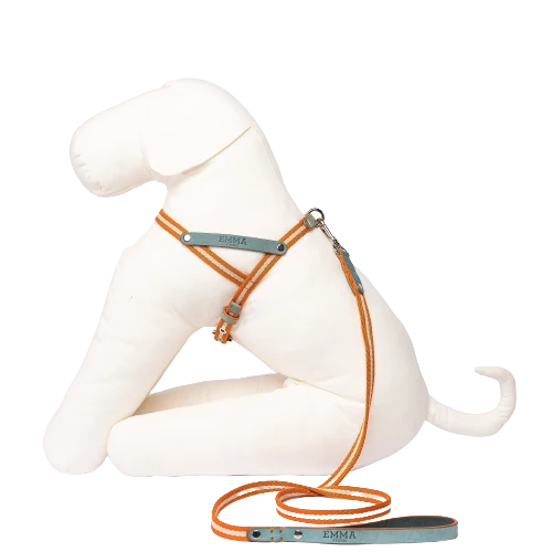 Sellerie Teckel Harnais Tissu & Nubuck (céleste)