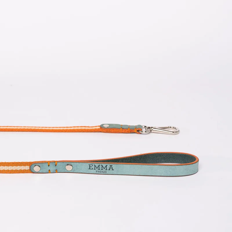 Sellerie Teckel Harnais Tissu & Nubuck (céleste)