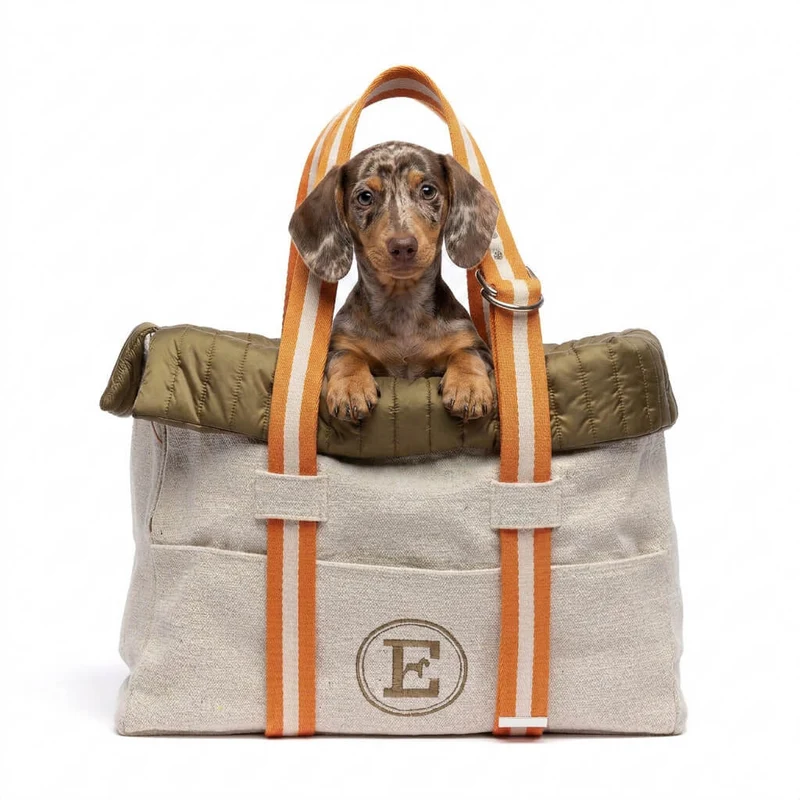Sac de Voyage Teckel Canvas Militaire