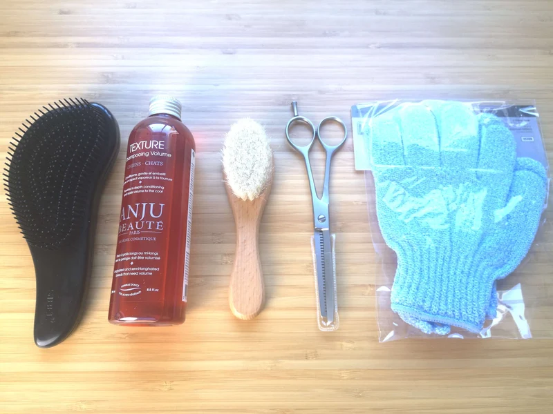Toilettage Teckel Kit Poil Long