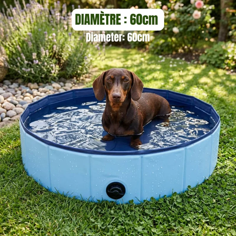 Piscine pour Chien Pliable