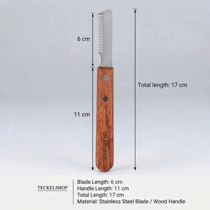 Toilettage Teckel Poil dur Trimmer Droitier