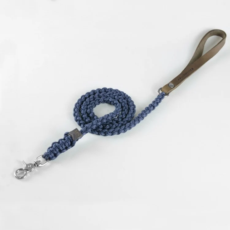 Sellerie Teckel Collier Touch Bleu