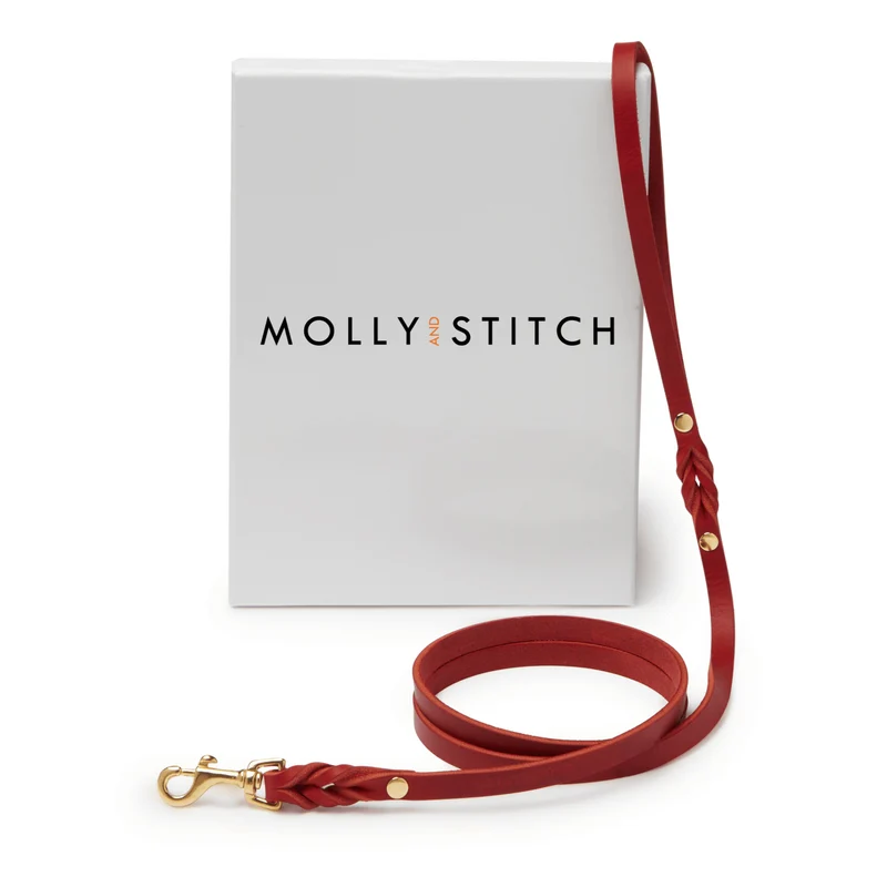Sellerie Teckel Collier Cuir Butter Rouge