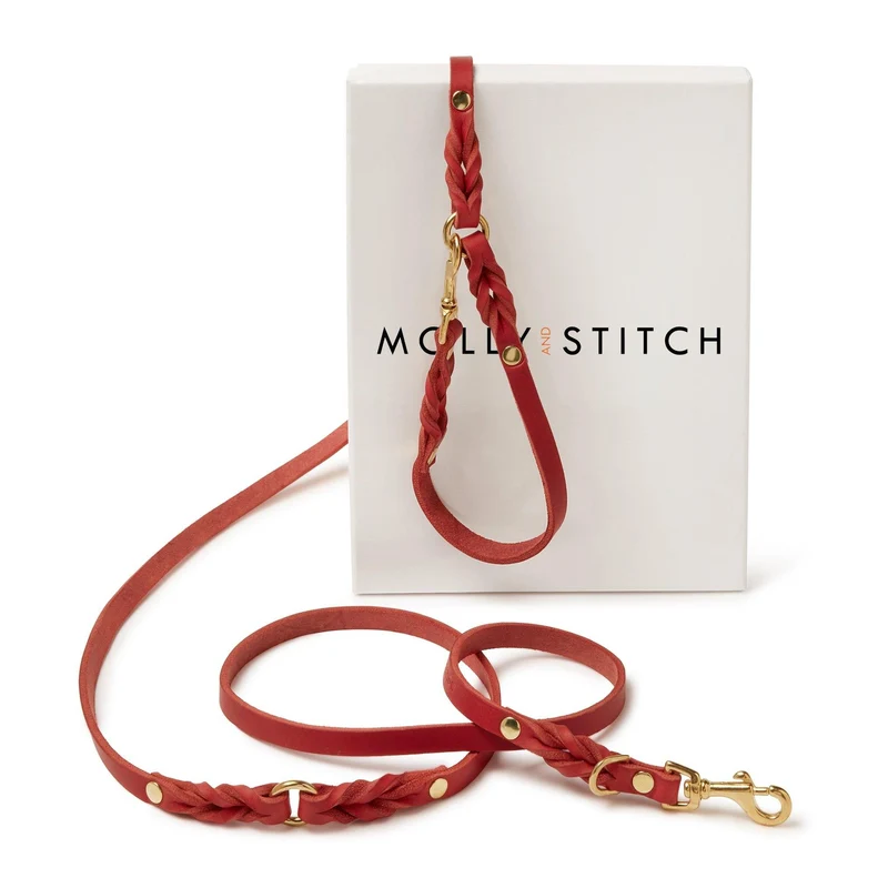 Sellerie Teckel Collier Cuir Butter Rouge
