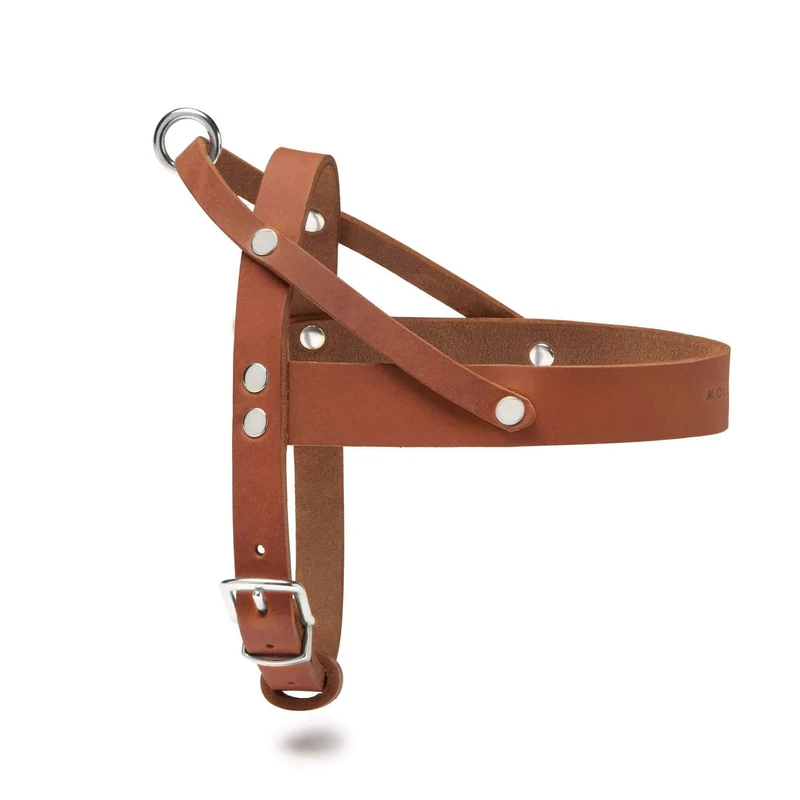 Sellerie Teckel Harnais en T Cuir Butter Cognac