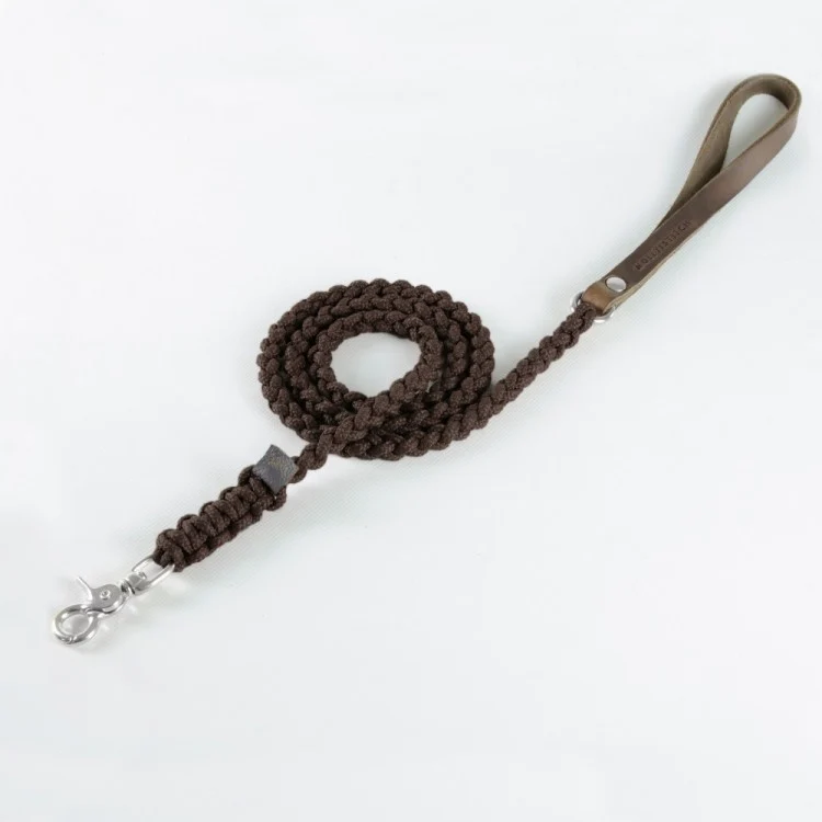 Sellerie Teckel Collier Touch Chocolat
