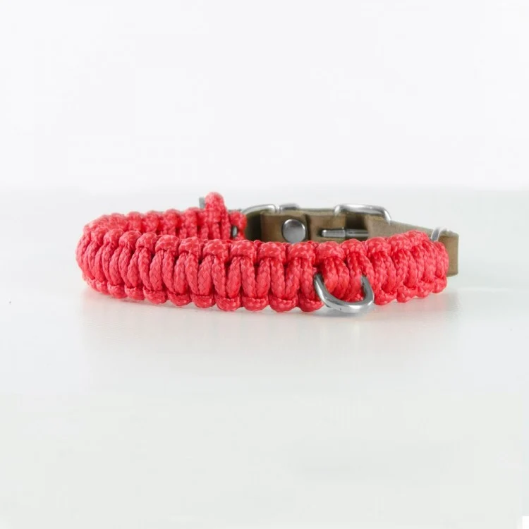 Sellerie Teckel Collier Touch Rouge à Lèvres