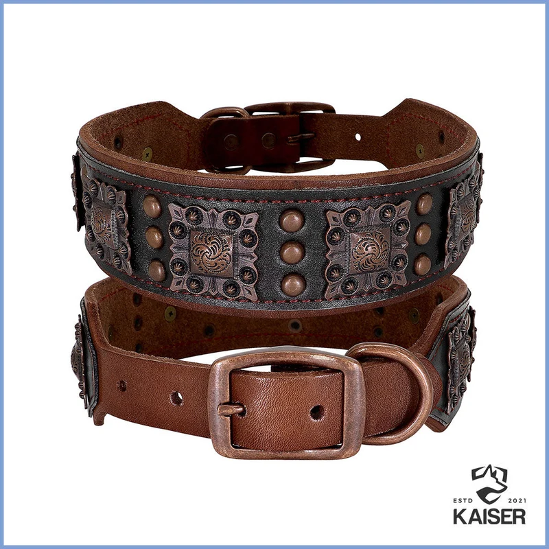 Ausgefallene Hundehalsband Leder