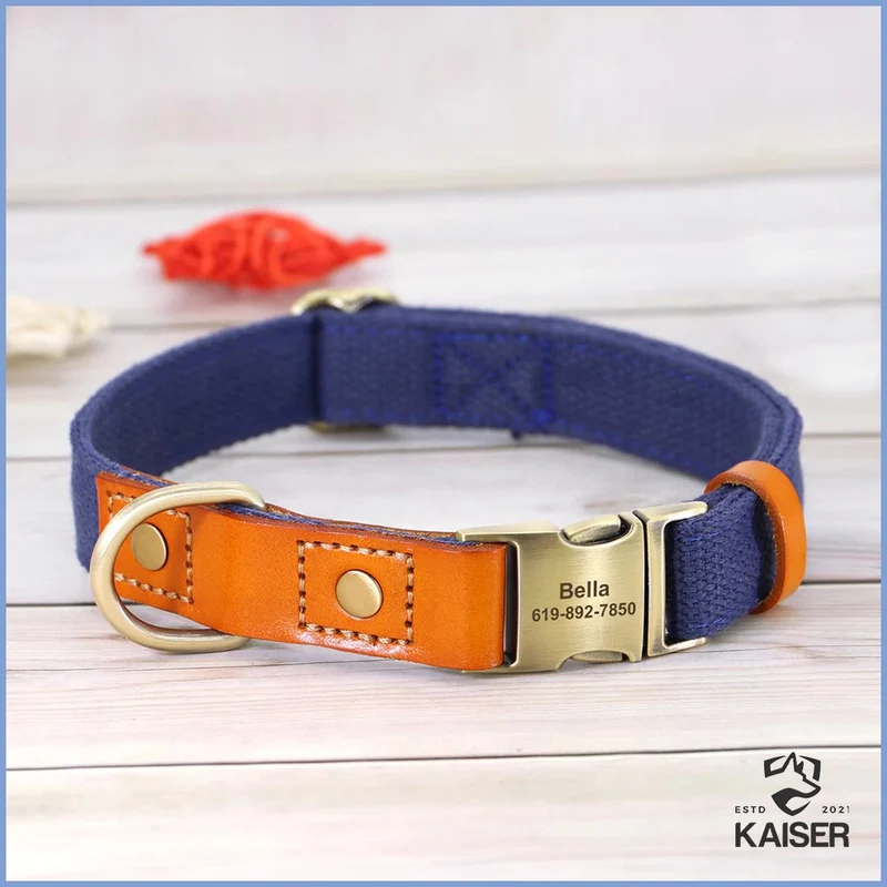 Hundehalsband personalisiert mit Leine