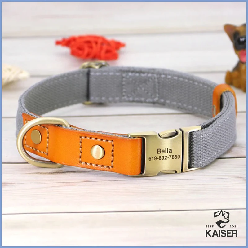 Hundehalsband personalisiert mit Leine