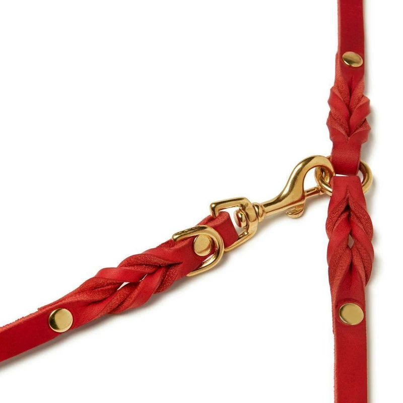 Sellerie Teckel Laisse Cuir Butter Rouge X3 (ajustable)
