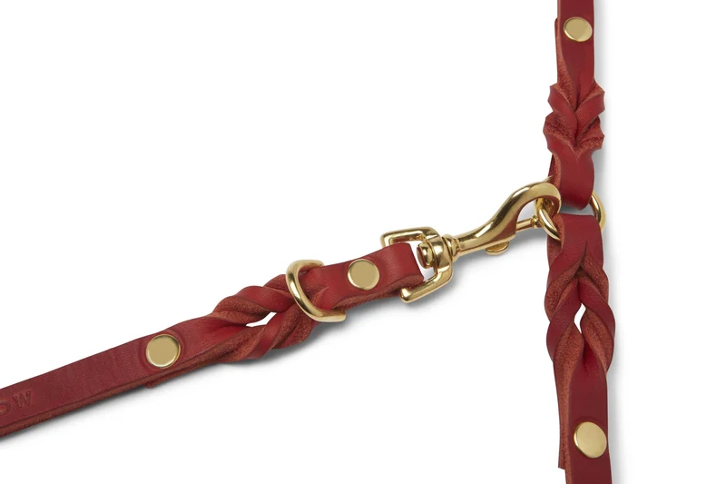 Sellerie Teckel Laisse Cuir Butter Rouge X2 (ajustable)