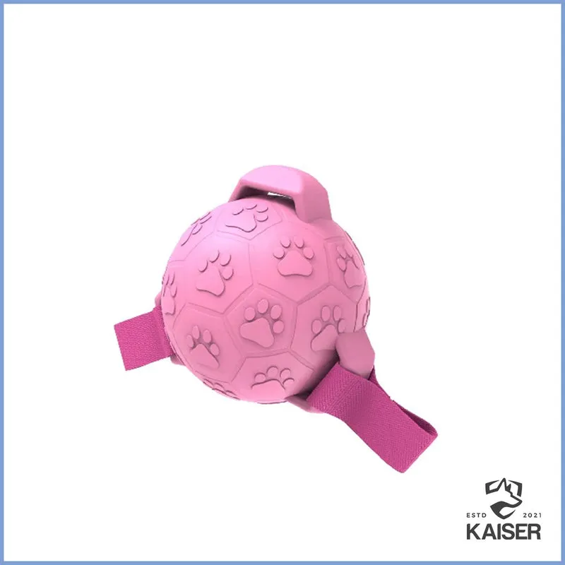 Hundespielzeug Ball