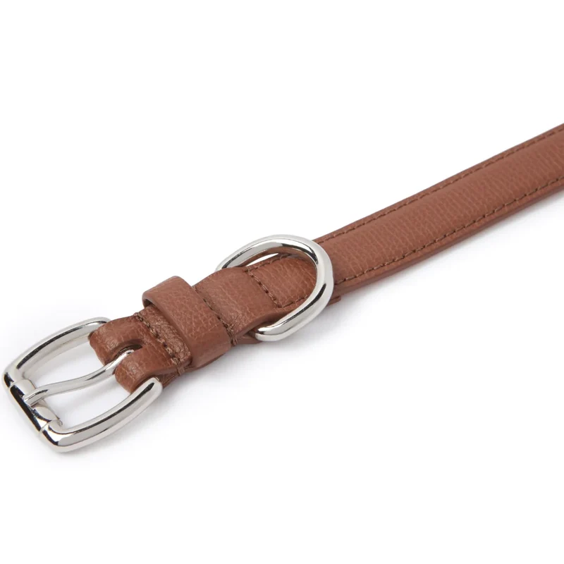 Sellerie Teckel Collier Cuir Toscan Châtaigne