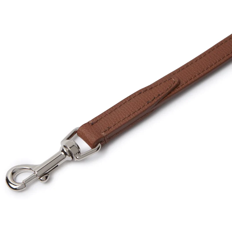 Sellerie Teckel Collier Cuir Toscan Châtaigne