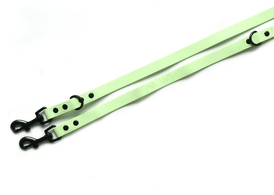 Sellerie Teckel Collier Gummy Pomme