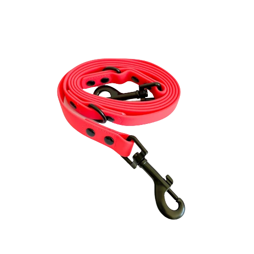 Sellerie Teckel Collier Gummy Cerise